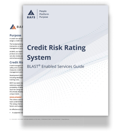 credit-risk-rating-system-guide (2)