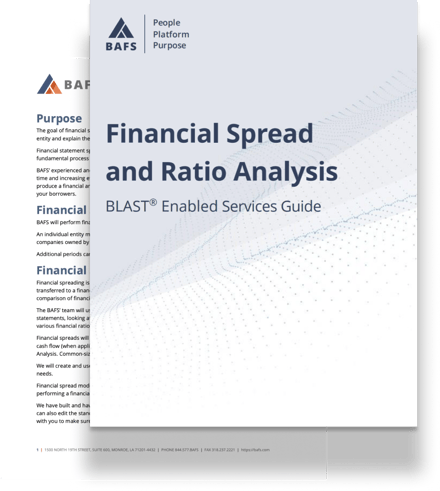 financial-spread-and-ratio-analysis (3)